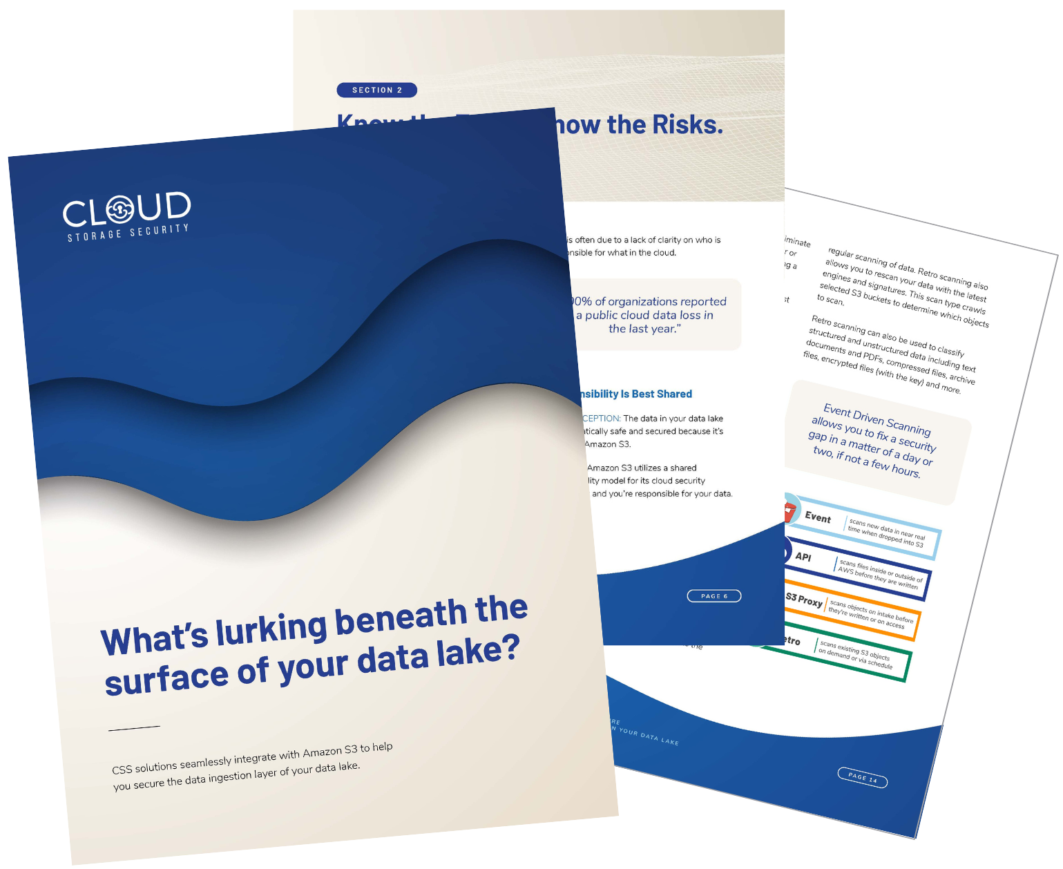 White Paper - What’s Lurking Beneath the Surface of Your Data Lake?
